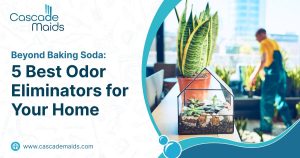 Read more about the article Beyond Baking Soda: 5 Best Odor Eliminators For Your Home