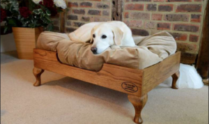 Read more about the article How to Clean a Dog Bed