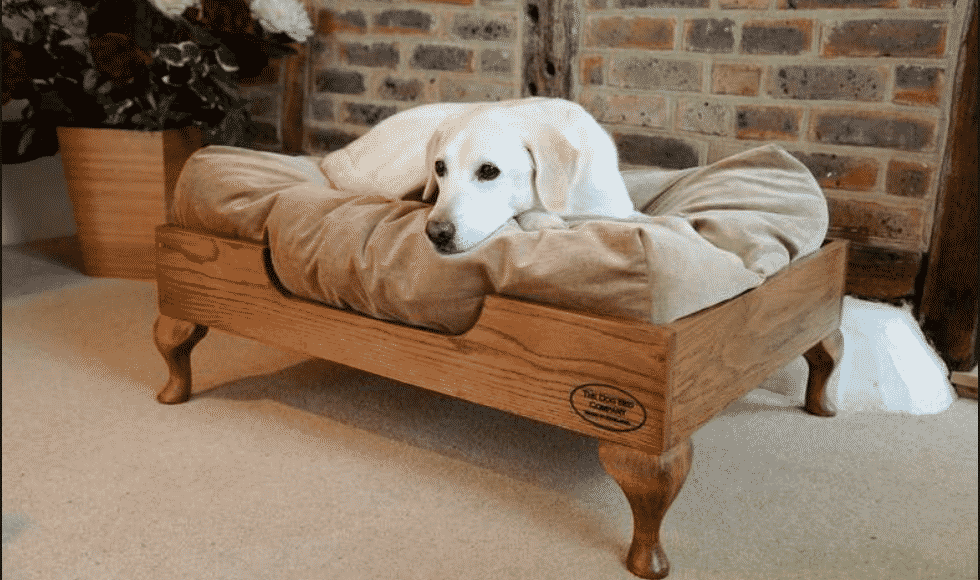 How to Clean a Dog Bed Cascade Maids