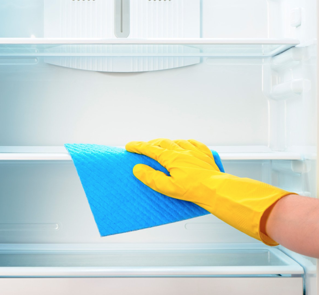 Some Useful Tips on Organizing and Cleaning a Refrigerator and Freezer