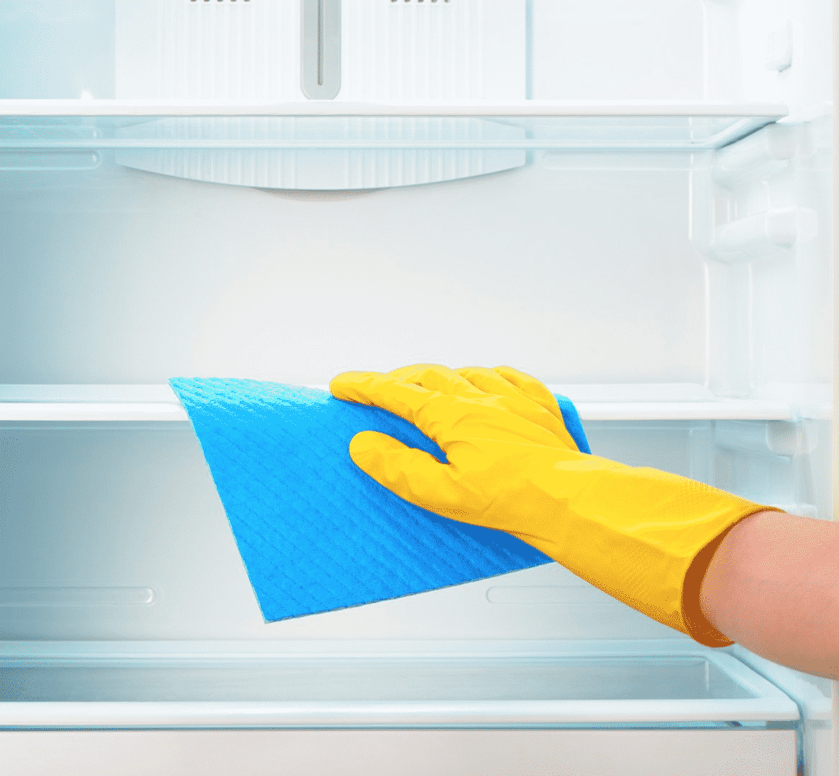 You are currently viewing Some Useful Tips on Organizing and Cleaning a Refrigerator and Freezer