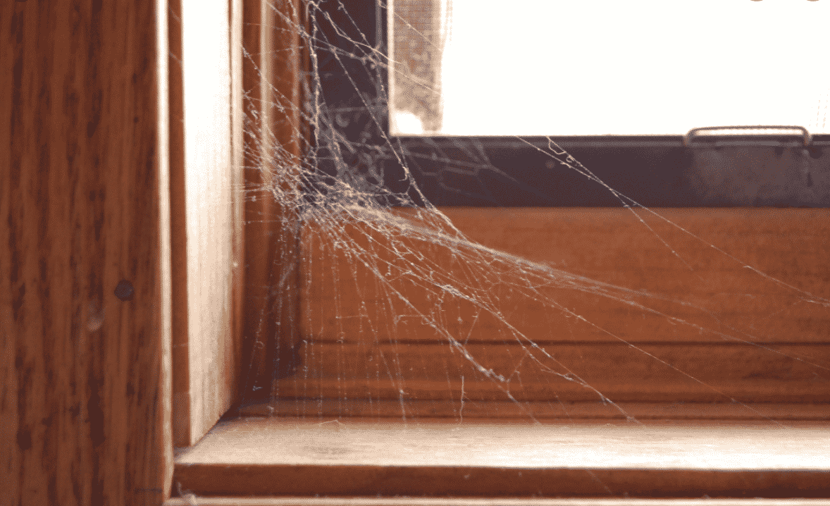 You are currently viewing TOP COMMON HIDING SPOTS TO FIND COBWEBS AND HOW TO ELIMINATE THEM