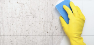 Read more about the article Domestic Hygiene: Tub and Tile Cleaning